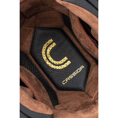 copy of Cassida Fibre