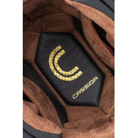 copy of Cassida Fibre
