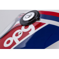 copy of Cassida Fibre